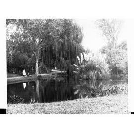 Botanic Gardens Pond
