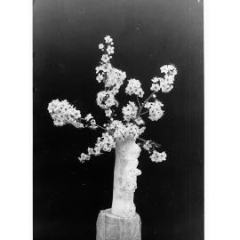 Plum blossom in a vase