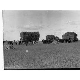 Wagon Loads of Hay