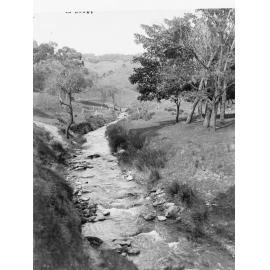 Brownhill Creek Reserve, Mitcham