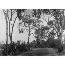 Sandy Creek and Lyndoch