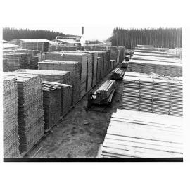 Mount Burr Timber Mill Showing Stacked and Prepared Wood