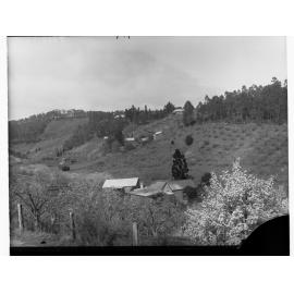 View of J.J. Bishops' 'Eldervale' orchard from Playford's 'Drysdale', Norton Summit