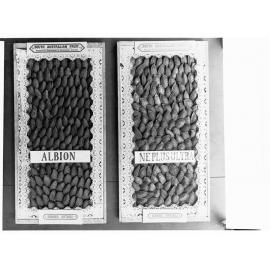 South Australian Almonds