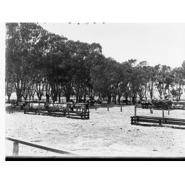 Cattle in Yards on a  Farm at Virginia
