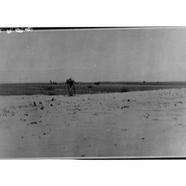 Barbed Wire Fence Showing Bushes in Desert