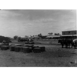 Carting wheat at Pinnaroo