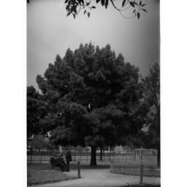 Men in Victoria Square