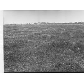 Mount Barker Cleggetts