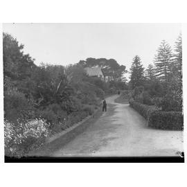 View in Adelaide Botanical Gardens