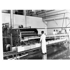 Amscol Milk Depot Carrington Street