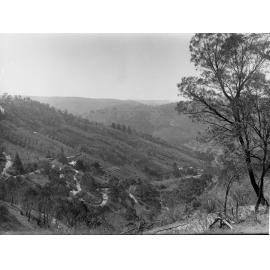 Corkscrew at Montacute, Mount Lofty Ranges