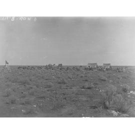 Surveyors' campsite, East West Railway survey