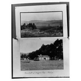 House made from insignis pine, Nelson, New Zealand