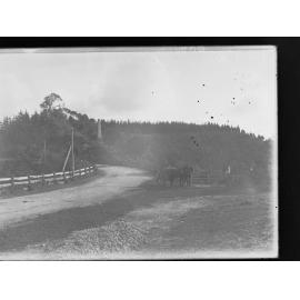 Gordon's Leap monument, Bay Road, Mount Gambier, Horse and buggy on side of road