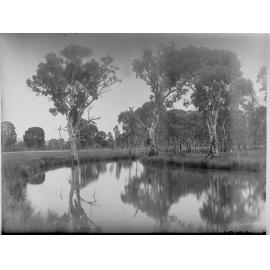 Wilpena Creek Flinders Ranges