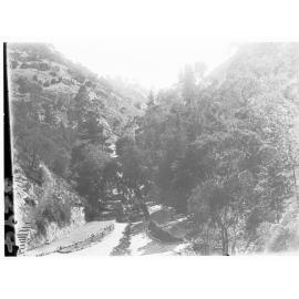 Pathway through Waterfall Gully Park - showing trees