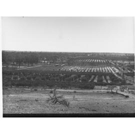 Orchards and Vineyards at Cadell