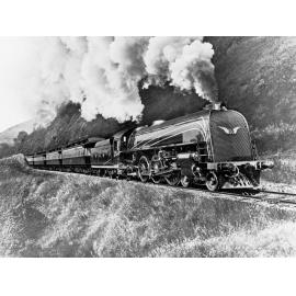 Centenary Train in Hills