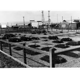 Royal Adelaide Show, c. 1928