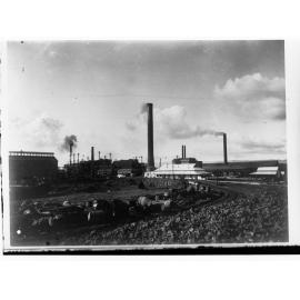 Port Pirie Smelters