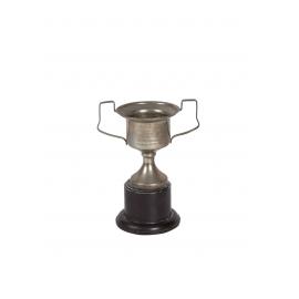  Swimming trophy