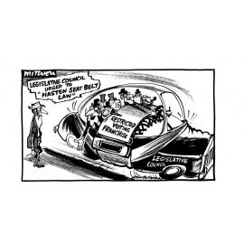 Cartoons - "Restricted Voting Franchise"