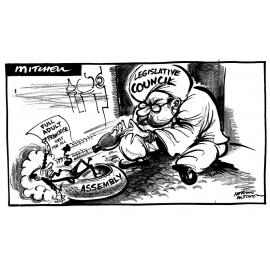 Cartoon - Full Adult Franchise