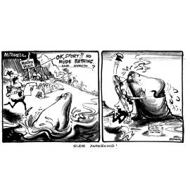 Cartoon - 'Maslins Beach'