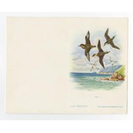 Blank MV MANUNDA Menu card