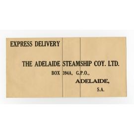 Express Delivery Envelope