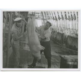 Passat crew, Chief Cook and Steward