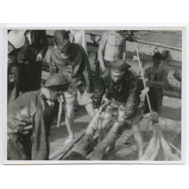 Passat crew, crossing the line