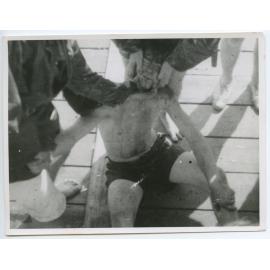 Passat crew, crossing the line