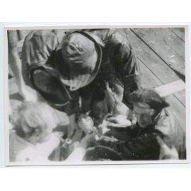 Passat crew, crossing the line