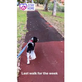 Last walk before the circuit-breaker