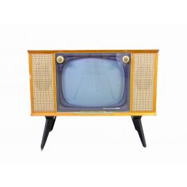 Television