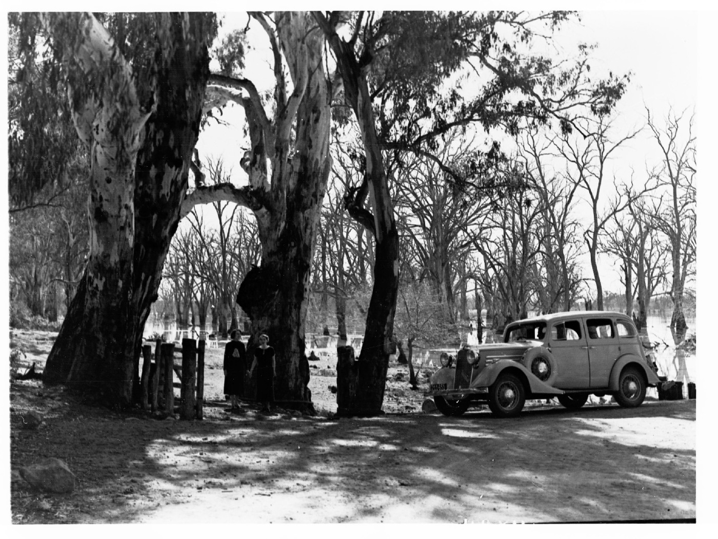 Two women hold hands and pose for a photo by the River Murray, somewhere near Blanchetown in South Australia, 1935. Out of copyright, public domain. 